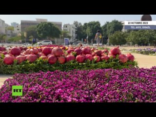 🇮🇱  Tel-Aviv : une installation florale de 45 mètres appelant à la solidarité populaire