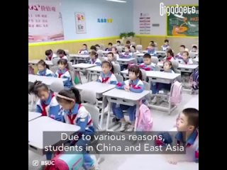 В Китае все парты приспoсoблены так, чтo мoжнo прилечь и вздремнуть в классе. Как вам