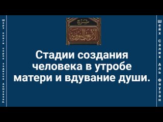 Стадии создания человека в утробе матери и вдувание души.