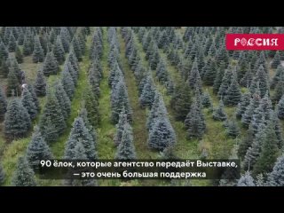 Во время проведения Международной выставки-форума “Россия“ главную аллею ВДНХ украсят 90 елей