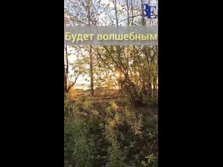 Доброе утро☀ 🌝⏰.mp4