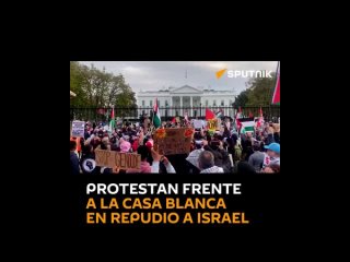 🇺🇸🪧🇵🇸 Miles de manifestantes tomaron las calles de Washington D.C. para mostrar su rechazo a los ataques en Gaza y el respaldo q