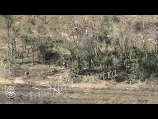 Бои на Ореховском направлении: Десантники уничтожают группу боевиков, пытавшуюся занять лесополосу