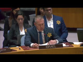 Посол Израиля в ООН Эрдан на заседании Совбеза ООН, посвященном эскалации вокруг сектора Газа, надел «желтую звезду