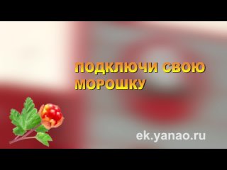 Единая карта жителя Ямала «Морошка»