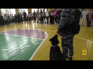 Школьники Херсонщины познакомились с полицейскими профессиями — на урок к ребятам даже привели ведомственную собаку