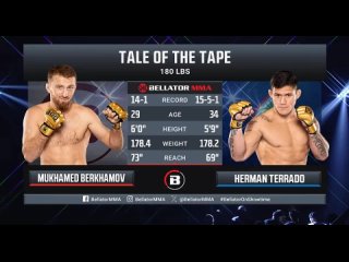 Мухамед Берхамов  vs. Херман Террадо.Bellator 300.