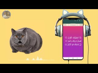 127. Animation Cute Cat Recite Juz Amma AL- KAUTSAR