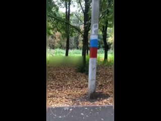 В Харькове случилась мегазрада - Кто-то выкрасил городские столбы в цвета российского триколора