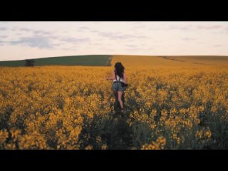 Валерий Карнаухов - Птица счастья (MB Demo remix)