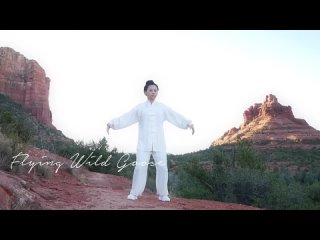 Tai Chi Qigong 18 Form (Shi Ba Shi) 太極氣功十八式 with Vivien Chao