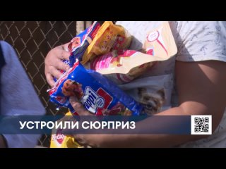 В Нижнекамский приют для животных нагрянули школьники с кормом