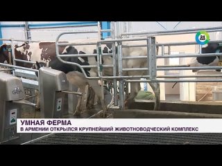 Крупнейший животноводческий комплекс открылся в Армении. 2023 г