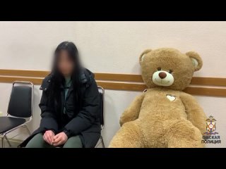 Омская студентка, укравшая медведя с новогодней композиции, сама пришла в полицию