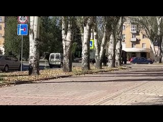 ⭐️Los residentes de Donetsk🇷🇺 filmaron la procesión nupcial más inusual: dos tigres. ^ ^