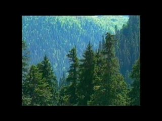 Карачаево-балкарская народная песня “Минги Тау“ [slowed + reverb]