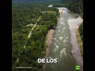 Pruebas revelan antigua civilización en la Amazonia