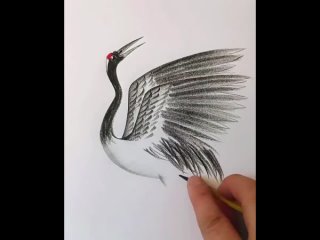Рисуем карандашом птиц