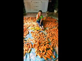 Большой урожай морковки