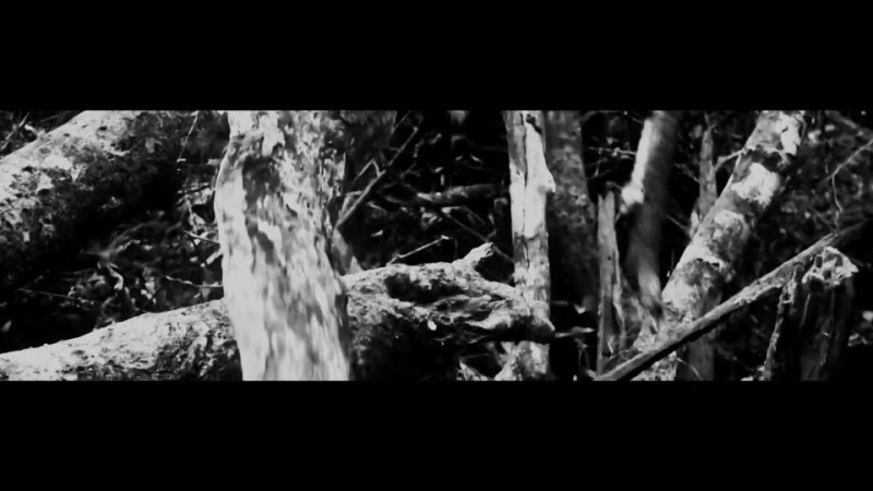 Strigoi - Bathed in a Black Sun (Official Music Video)