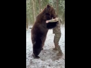 Герой из экипажа танка Алеша» Алексей Неустроев и медведь