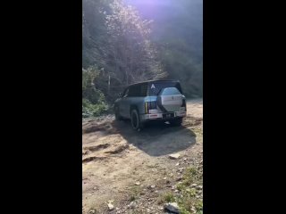 YangWang, появившийся на базе BYD Auto, представляет собой новый бренд премиум-класса, готовый представить... (видео)