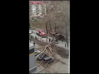 🌪 В результате сильного урагана в Новокузнецке два человека погибли, когда дерево упало на их автомобиль.