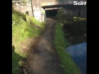 Idiots on bicycle - 2 cyclists greet each other