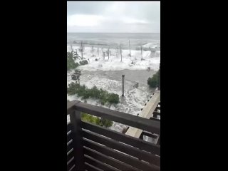 Видео из Сочи, где стихией повалило около 70 деревьев, повреждены остановки и кровля домов