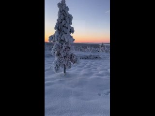 Видео от Alet Steffen