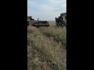 🇺🇦🇺🇸Очередные уничтоженные в зоне проведения СВО украинские бронемашины International MaxxPro и БТР М113 американского производс