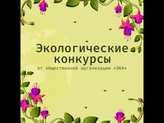 Межрегиональная экологическая общественная организация ЭКА запустила разнообразные экологические конкурсы для всех желающих