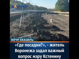 житель Воронежа задал важный вопрос мэру Кстенину