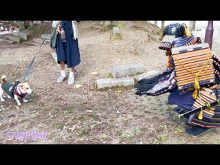 [SAMURAI PRANK] #33 SAMURAI Mannequin Prank in Kyoto Japan | Best Funny Statue Pranks Kiyomizu Temple