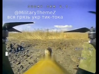 нечаянно получилось, что полевая мышь залезла на боеприпас российского дрона-камикадзе
