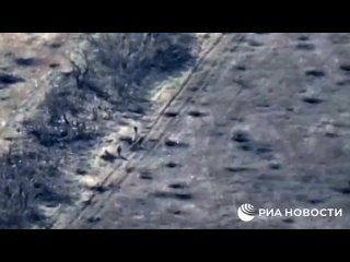 Российские военные ударили дроном-камикадзе по живой силе ВСУ в районе Клещеевки на артемовском участке фронта в ДНР