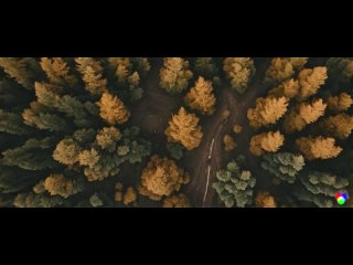 🌟 Runway обновили свою нейросеть, и теперь они дословно воплощают идею "генерации видео"  Теперь есть Motion Brush —... (видео)