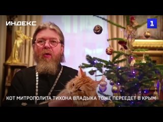 Кот митрополита Тихона Владыка тоже переедет в Крым