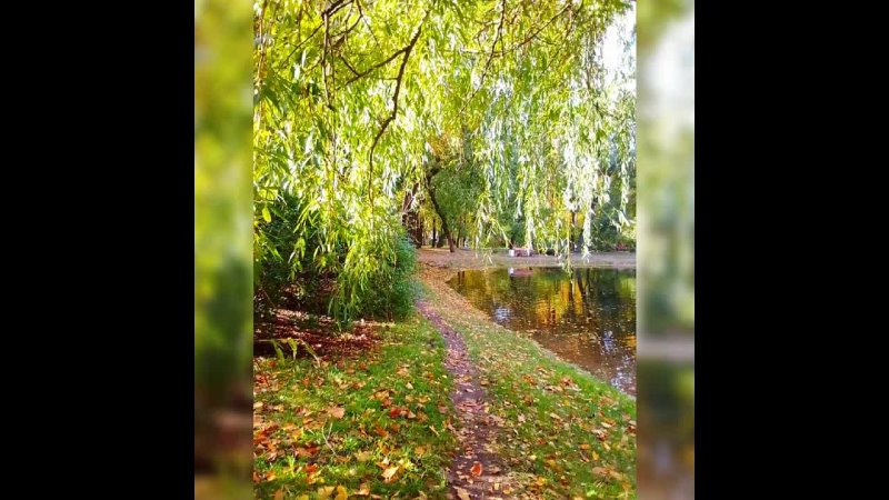 Golden Days of Silver Pond, camera Annabelle Wanderer, music Michael