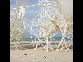 «Пляжное животное» — кинетическая скульптура голландского художника Тео Янсена, которая бродит по берегу благодаря ветру.