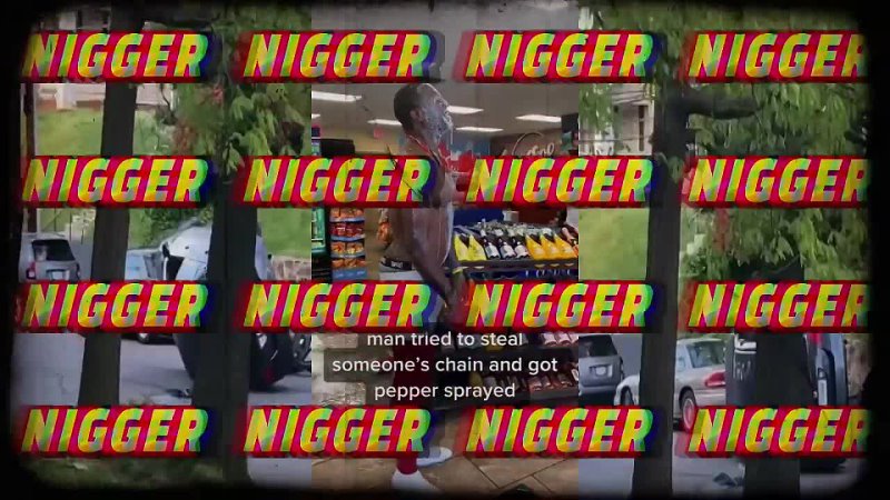 The Nigger Word