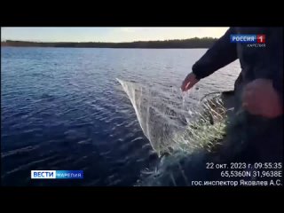 В Карелии поймали браконьеров из Тульской области 2023 ФСБ Рыбоохрана Росгвардия