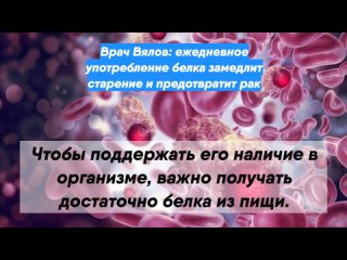 Врач Вялов: ежедневное употребление белка замедлит старение и предотвратит рак