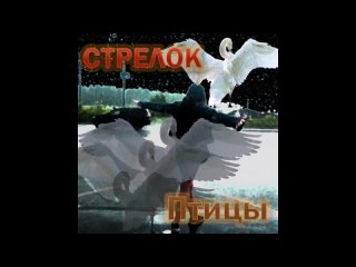 СТРЕЛОК - “ПТИЦЫ“(remix)