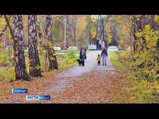 В мэрии Барнаула подводят итоги благоустройства городских парков.