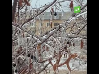 Страшно… красиво. В Челябинске деревья покрылись льдом