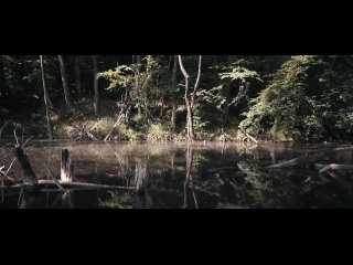 NEBELKRÄHE – Nielandsmann feat. Noise_Kanonenfieber (Video feat. ParaLight WorX) _ Crawling Chaos
