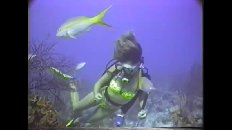 Scuba Woman Dives and explores Coral Reef