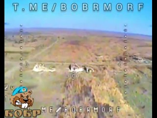 🇷🇺🇺🇦FPV drone with a thermobaric warhead flew towards a group of dry landers