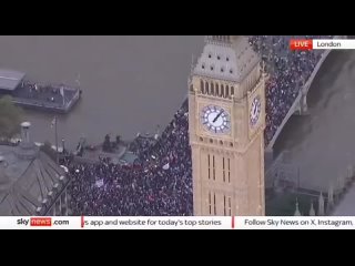 Массовый митинг в поддержку палестинцев в Лондоне